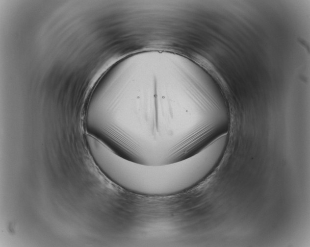 X0000102870908200809081203