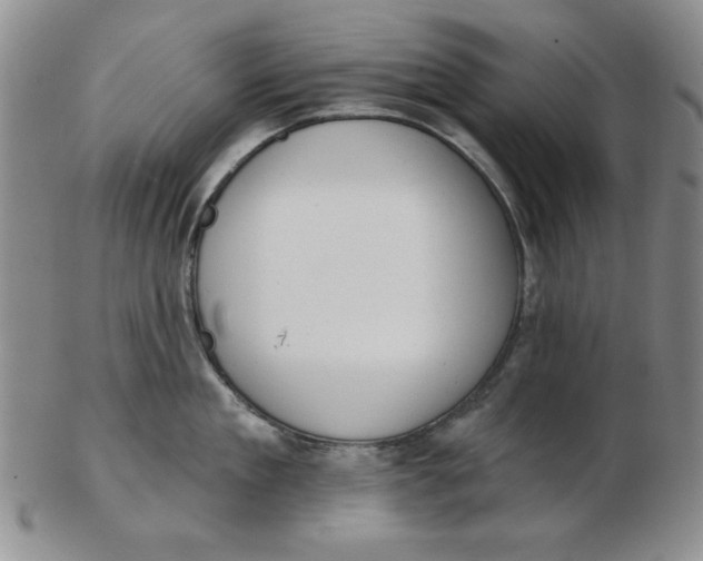 X0000102870909200809081203