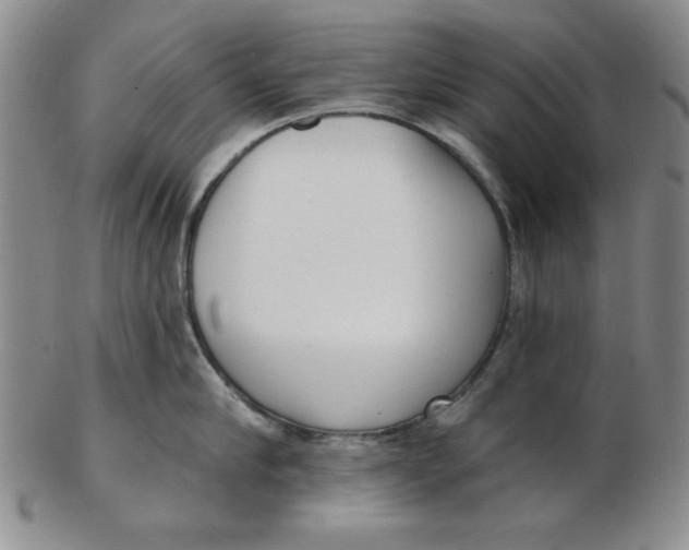 X0000102870910200809081203