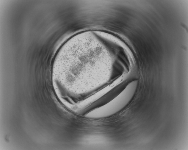 X0000102870911200809081203