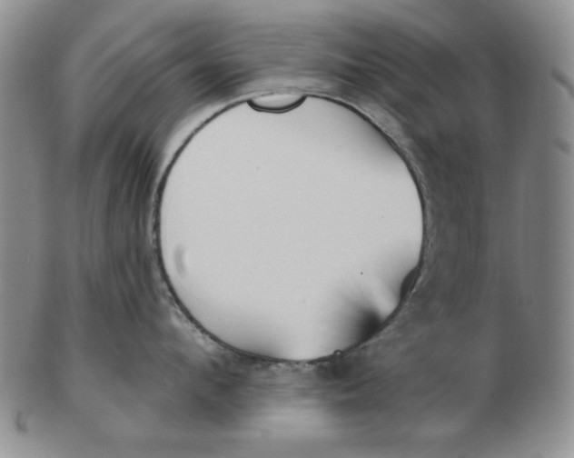 X0000102870912200809081203