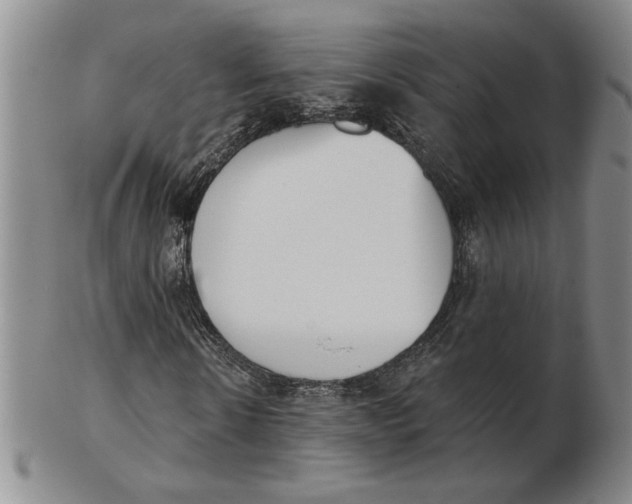 X0000102870914200809081202