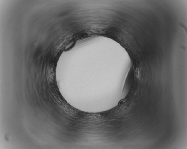 X0000102870915200809081202