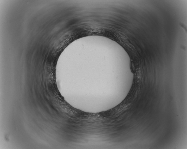 X0000102870916200809081202