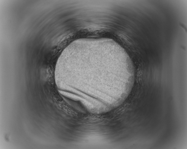 X0000102870917200809081202