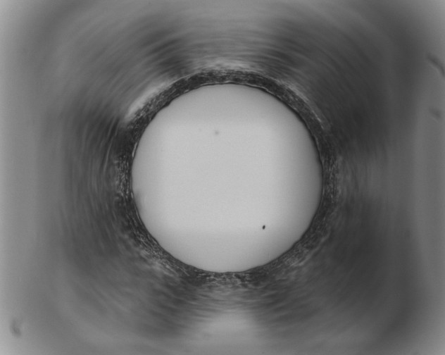 X0000102870919200809081202