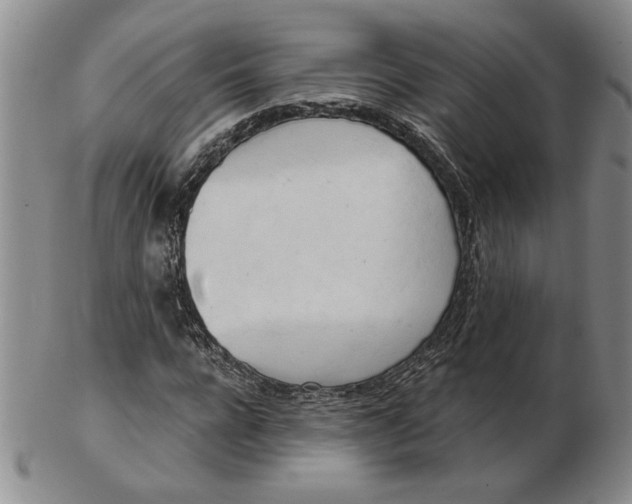 X0000102870920200809081202