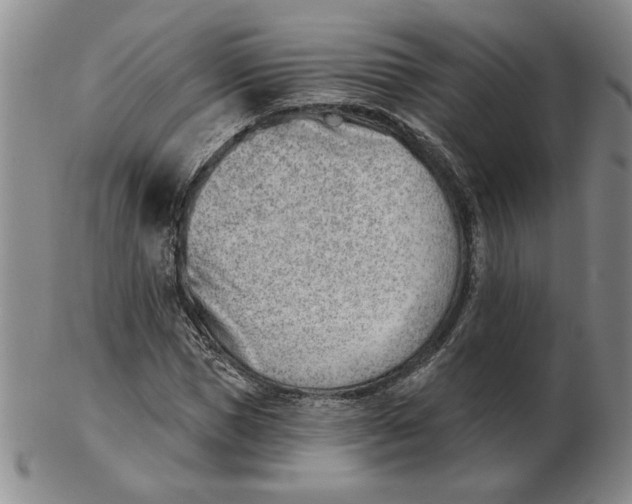 X0000102870921200809081202