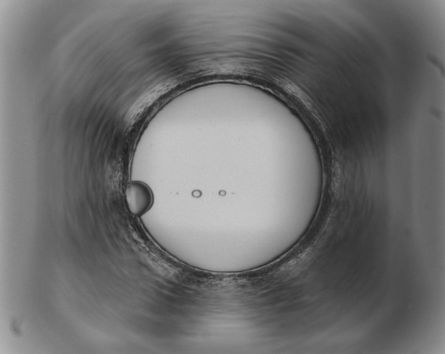 X0000102870922200809081202