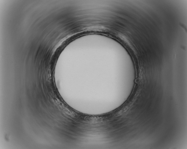 X0000102870923200809081202