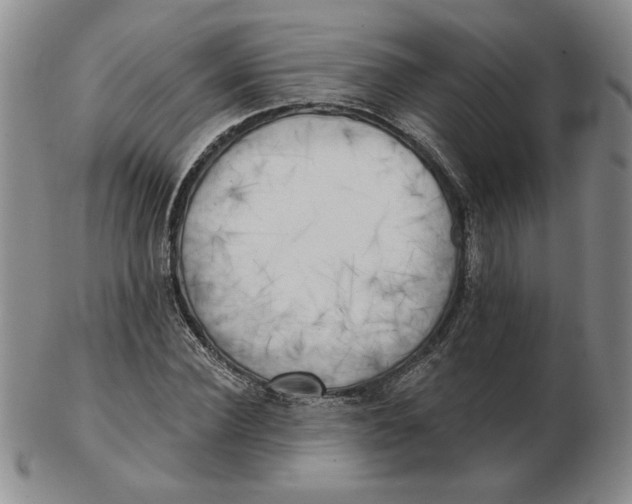 X0000102870924200809081202