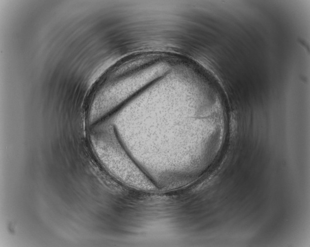 X0000102870925200809081202