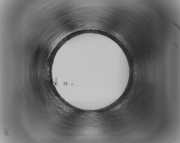 X0000102870926200809081202