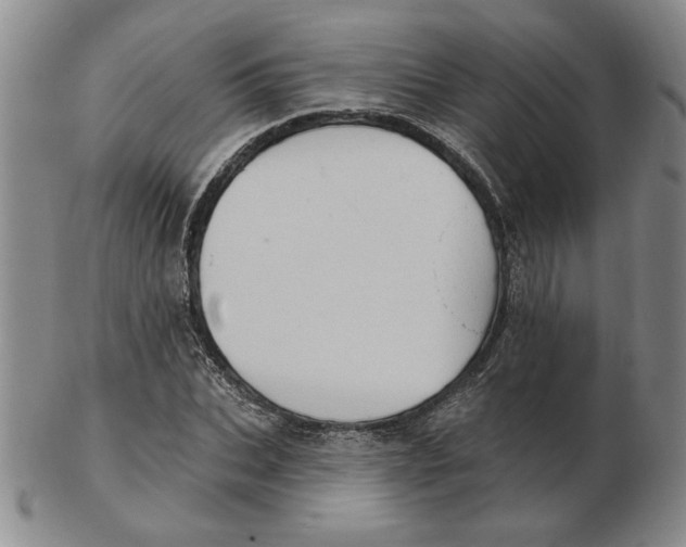 X0000102870927200809081202