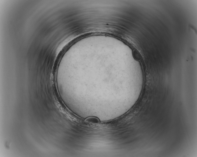 X0000102870928200809081202