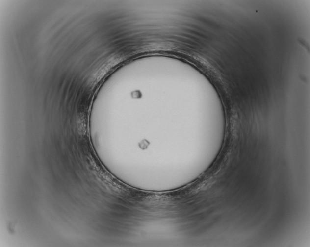 X0000102870929200809081202