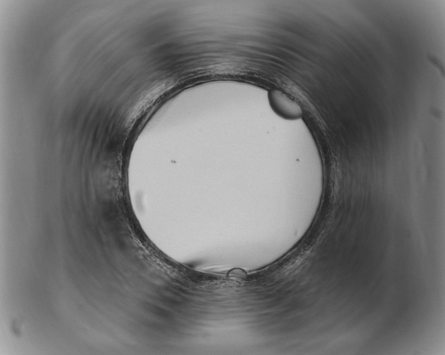 X0000102870930200809081202