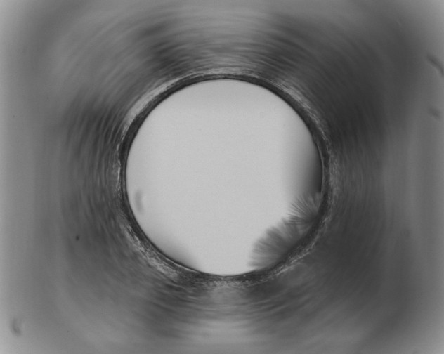 X0000102870933200809081202