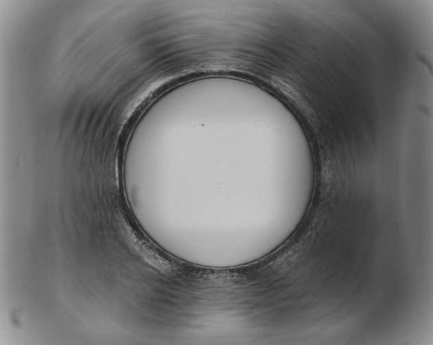 X0000102870934200809081202