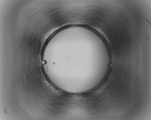 X0000102870935200809081202