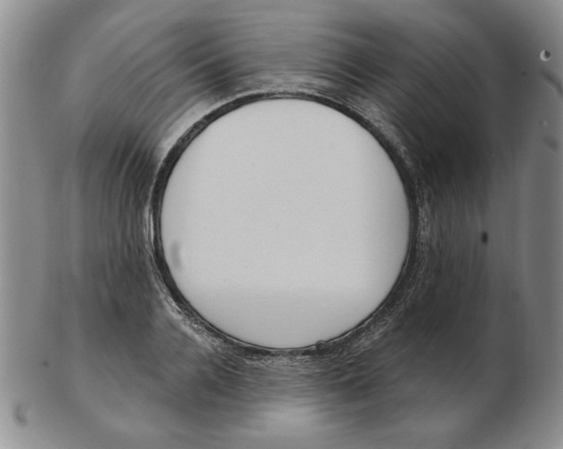 X0000102870936200809081202