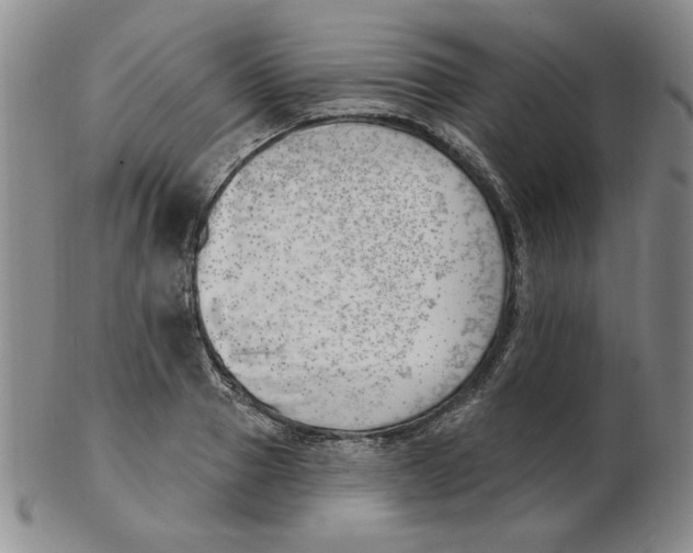 X0000102870937200809081202