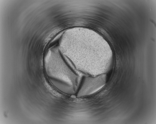 X0000102870938200809081202