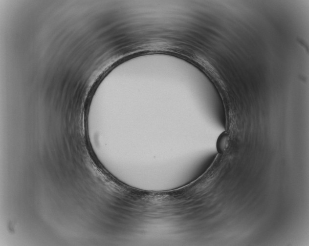 X0000102870939200809081202