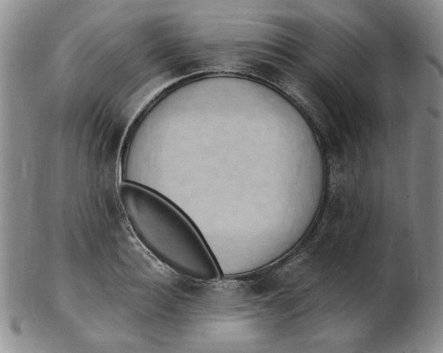 X0000102870940200809081203