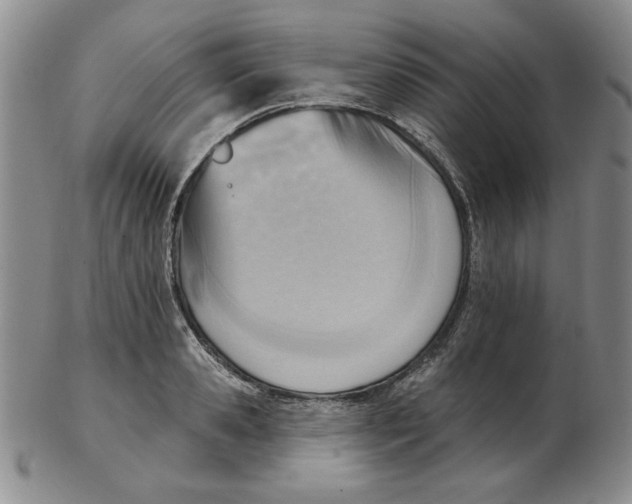 X0000102870941200809081203