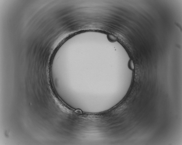 X0000102870942200809081203