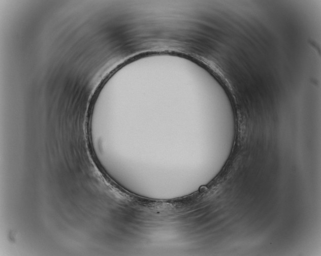 X0000102870943200809081203