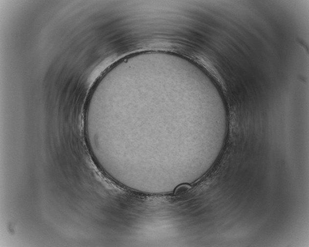 X0000102870944200809081203