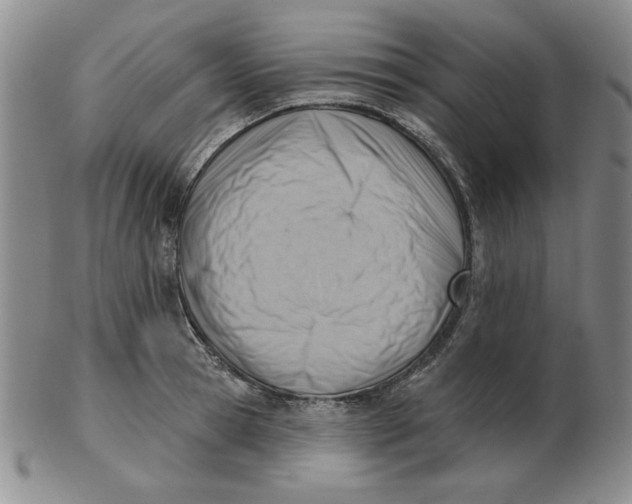 X0000102870945200809081203