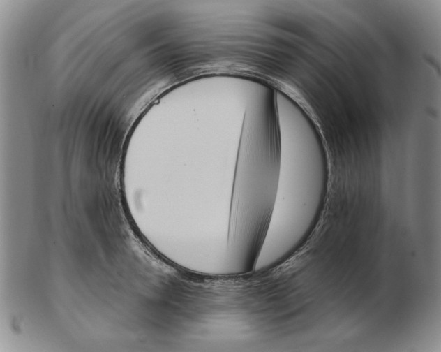 X0000102870946200809081203