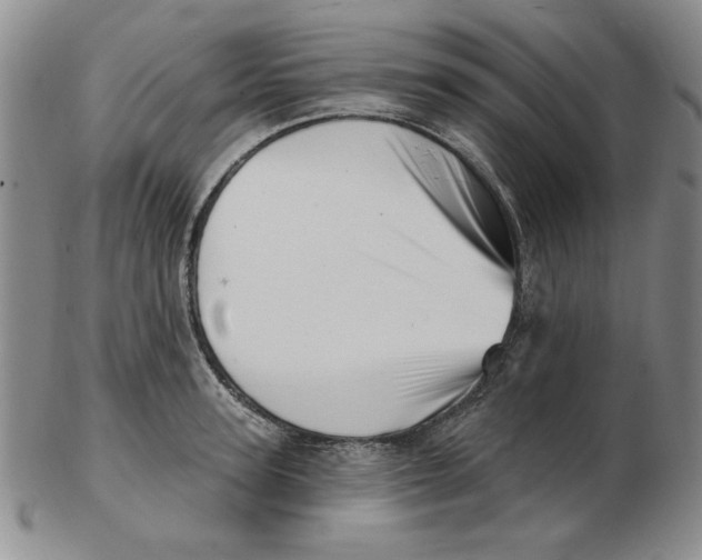 X0000102870947200809081203