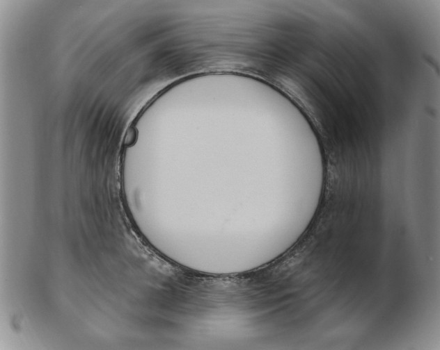 X0000102870948200809081203