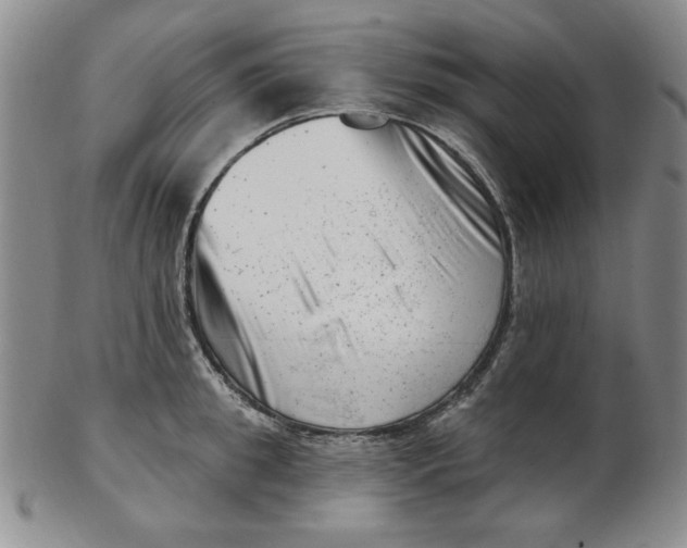 X0000102870949200809081203