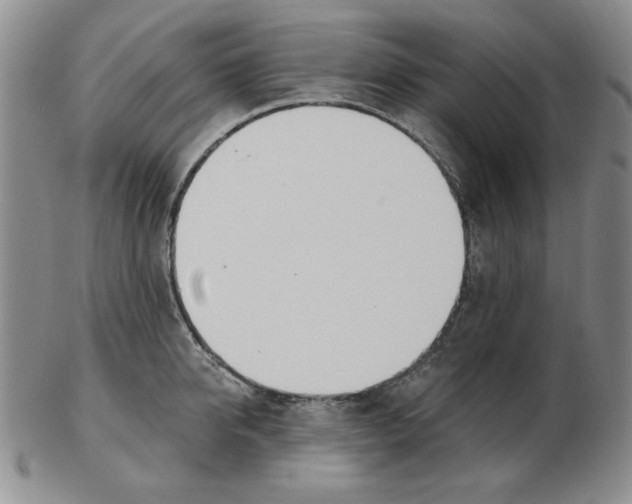 X0000102870950200809081203