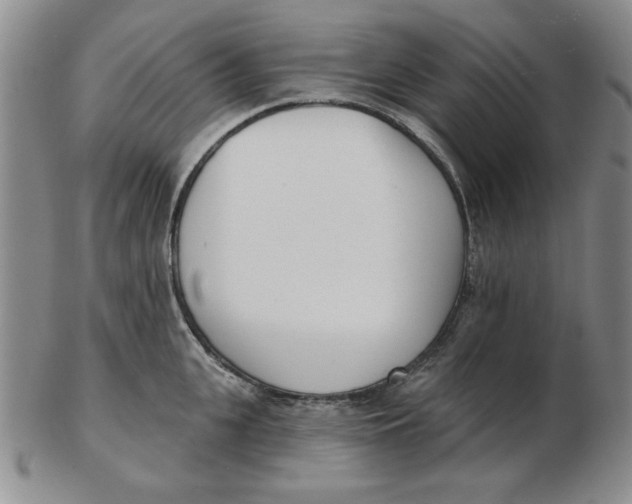 X0000102870951200809081203