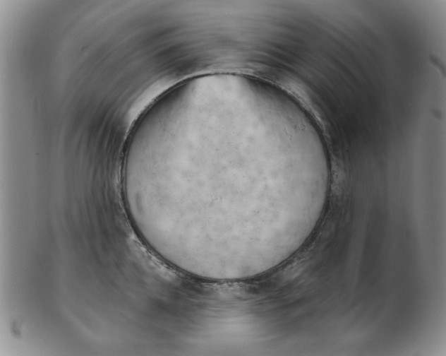 X0000102870952200809081203