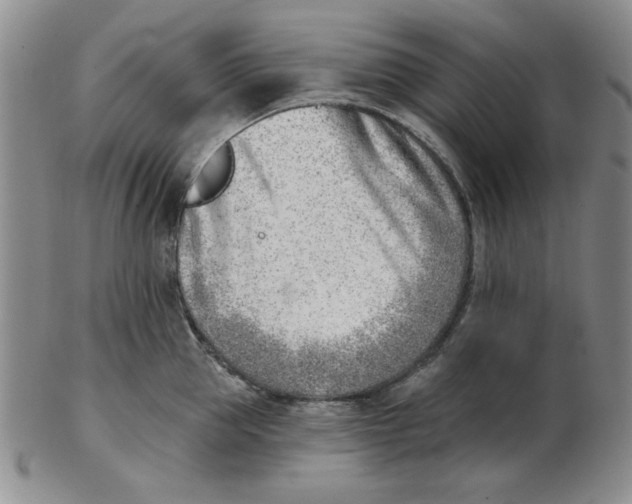 X0000102870953200809081203