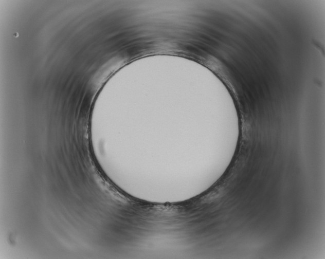 X0000102870954200809081203