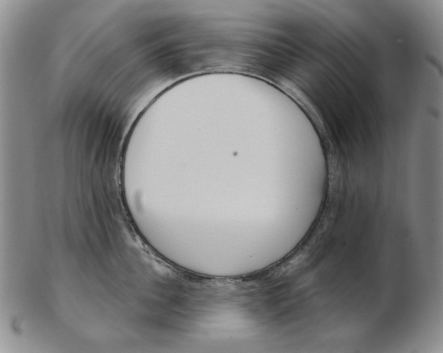 X0000102870956200809081203