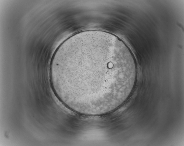 X0000102870957200809081203