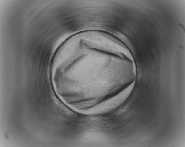 X0000102870958200809081203