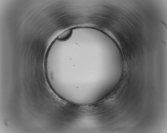 X0000102870959200809081203