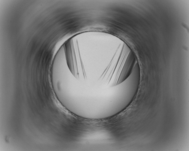 X0000102870960200809081203