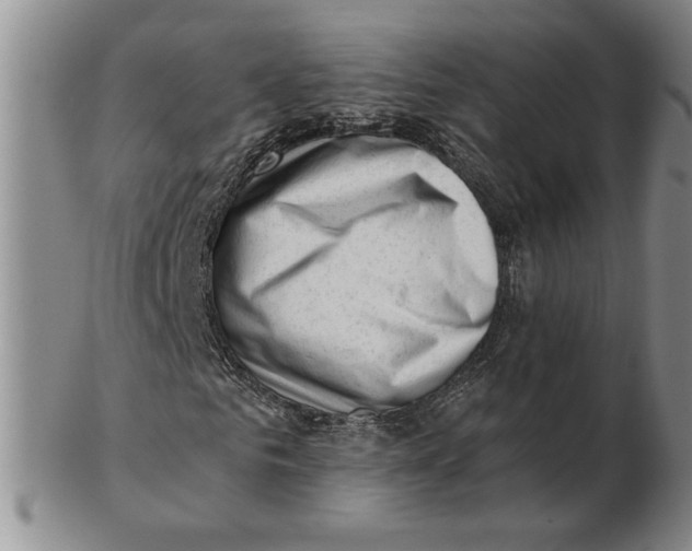 X0000102870961200809081202