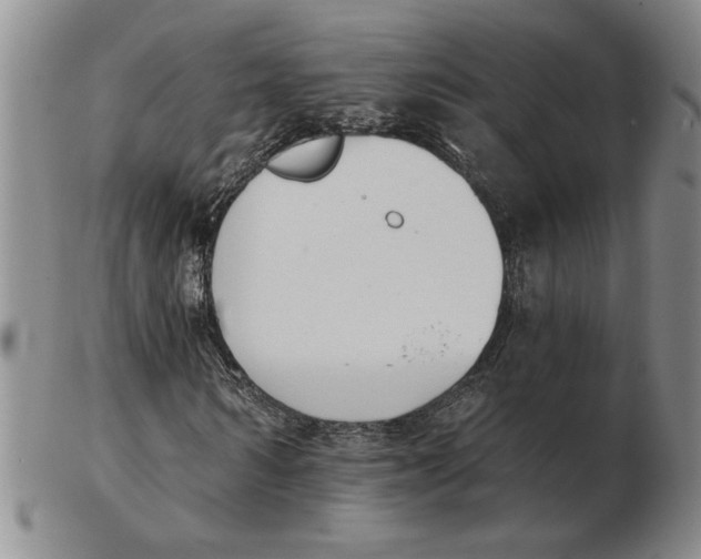 X0000102870962200809081202